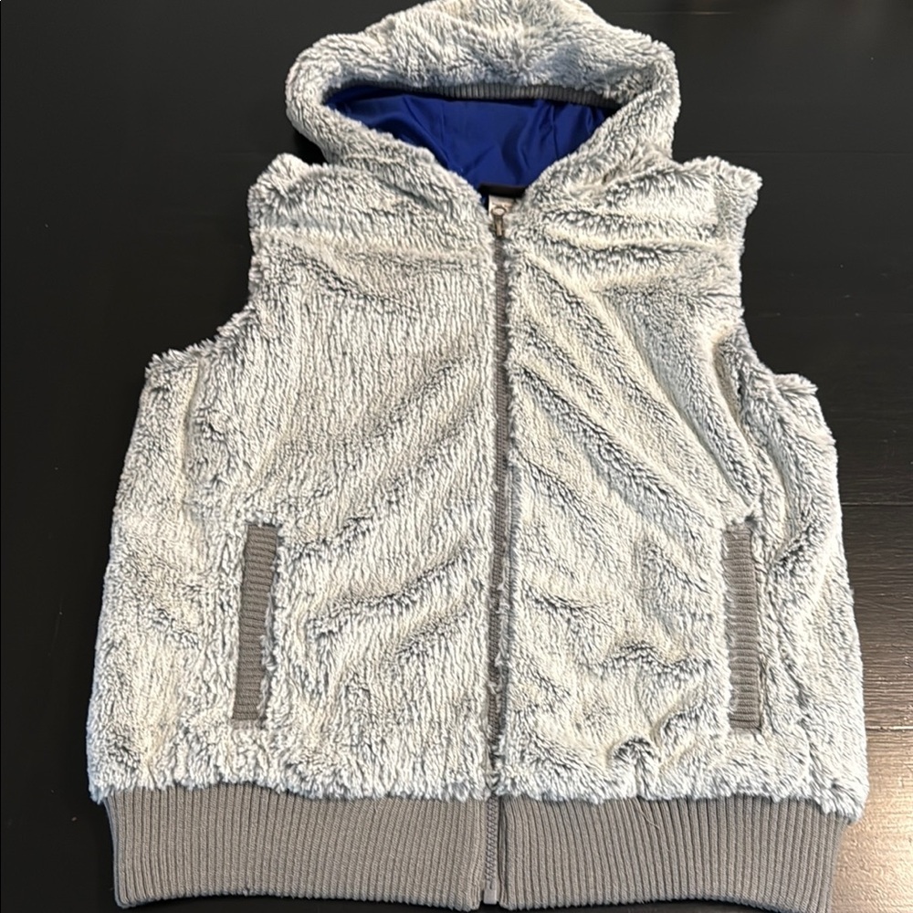 Patagonia Gray and Blue Fleece Vest